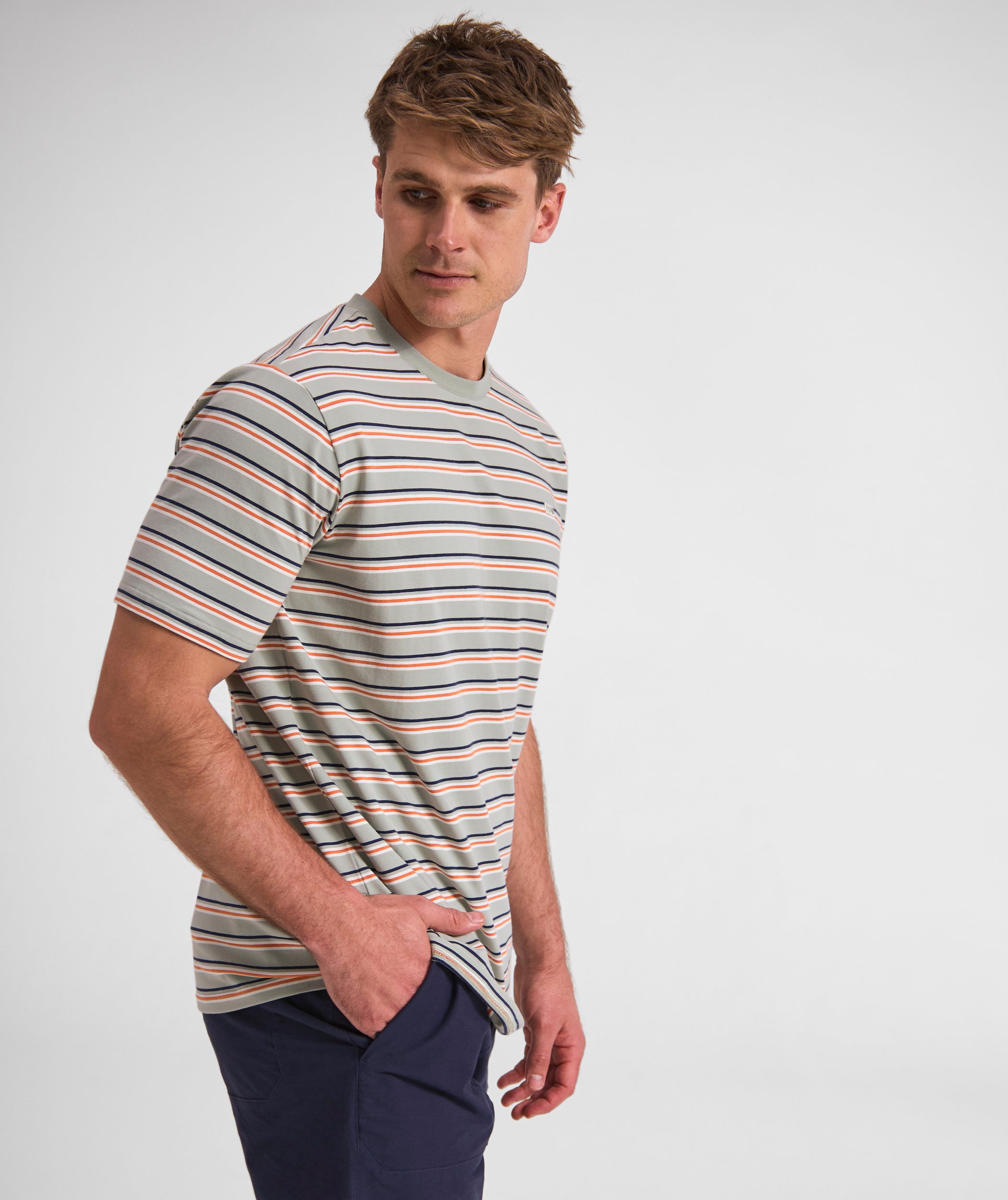 Mens Regular Fit Stripe Tee - x Seafoam Multi