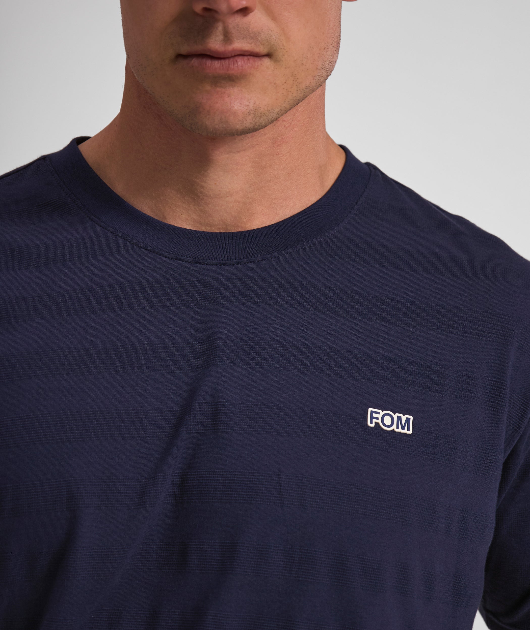 Mens Regular Fit Stripe Tee - Navy