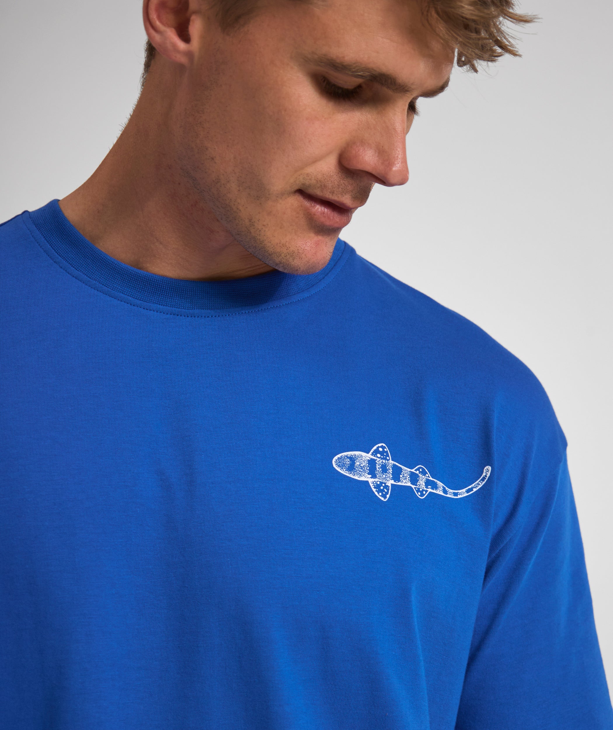 Mens Shy Shark Graphic Tee - Cobalt