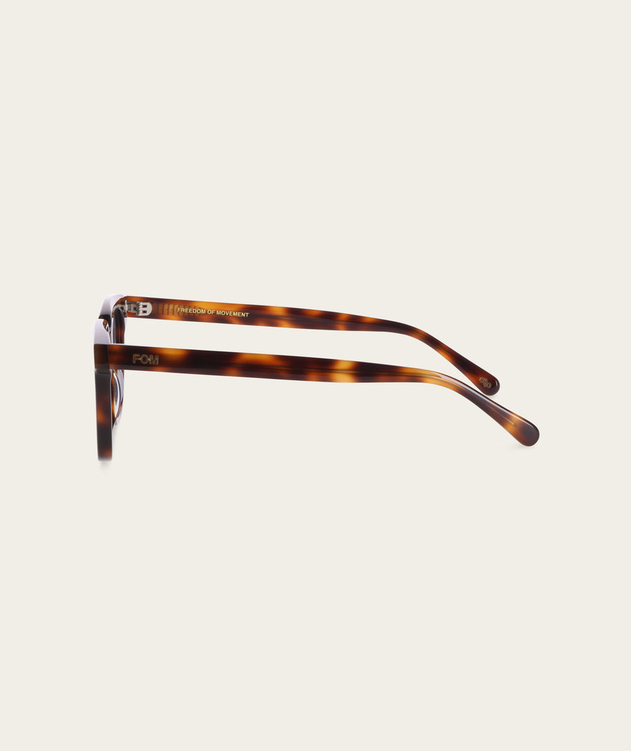 Jackson - Dark Tortoise (Polarized)
