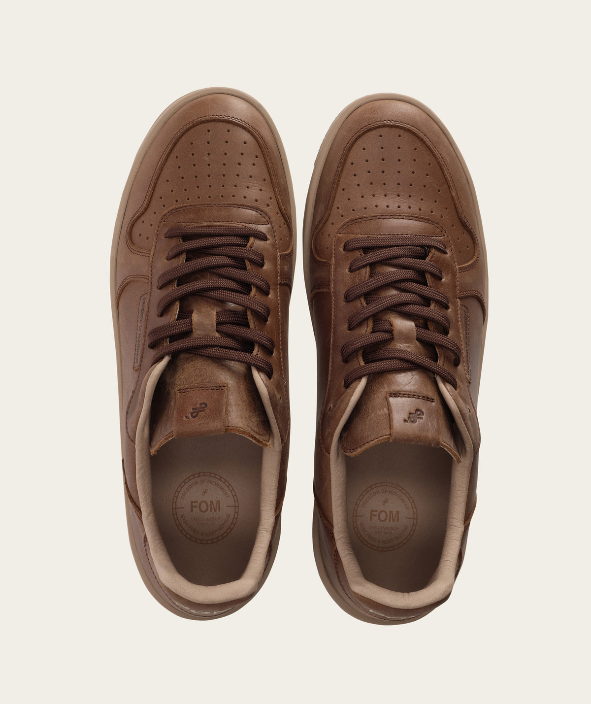 FOM Mens Tekkie - Cocoa