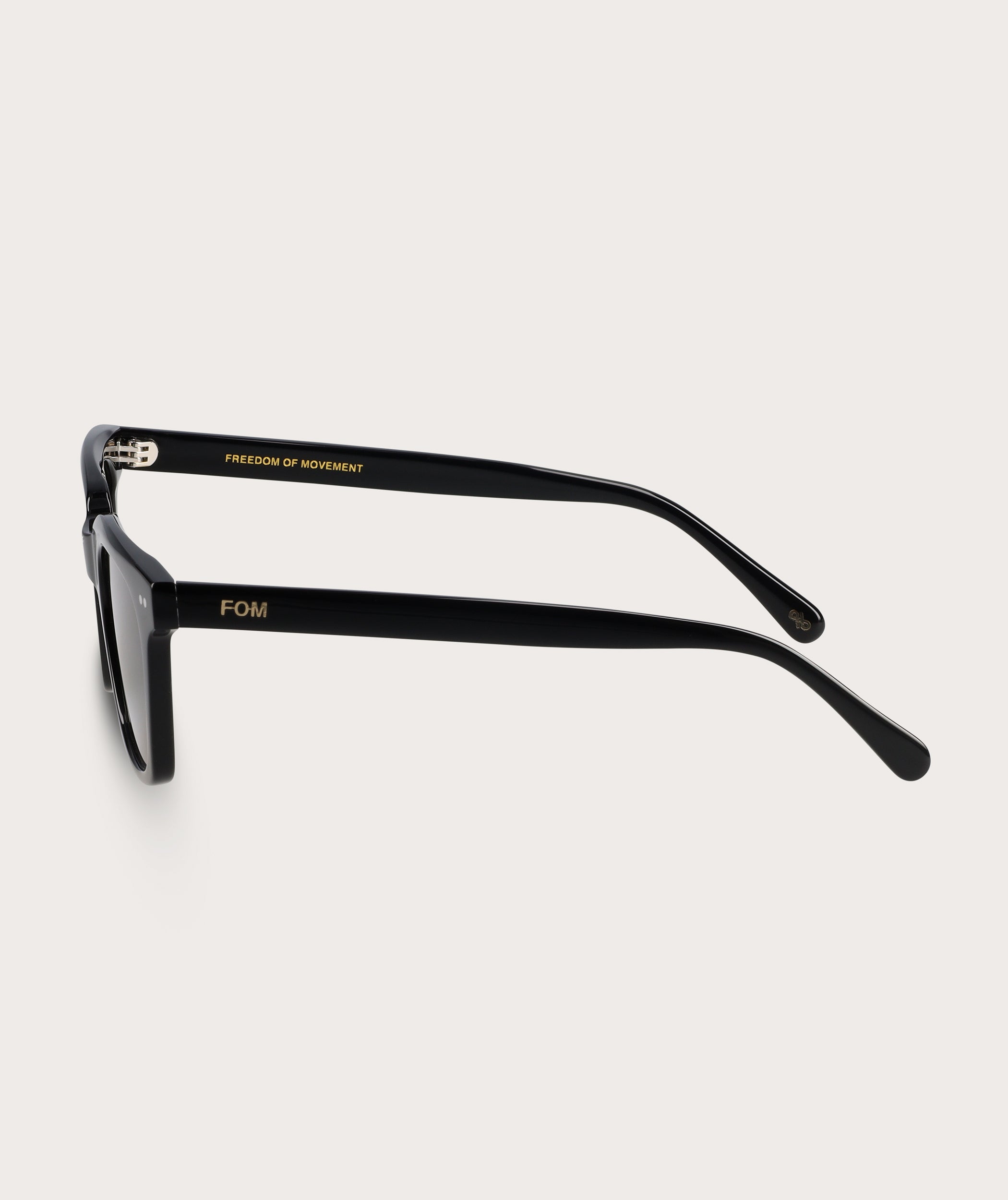 Jackson - Black (Polarized)