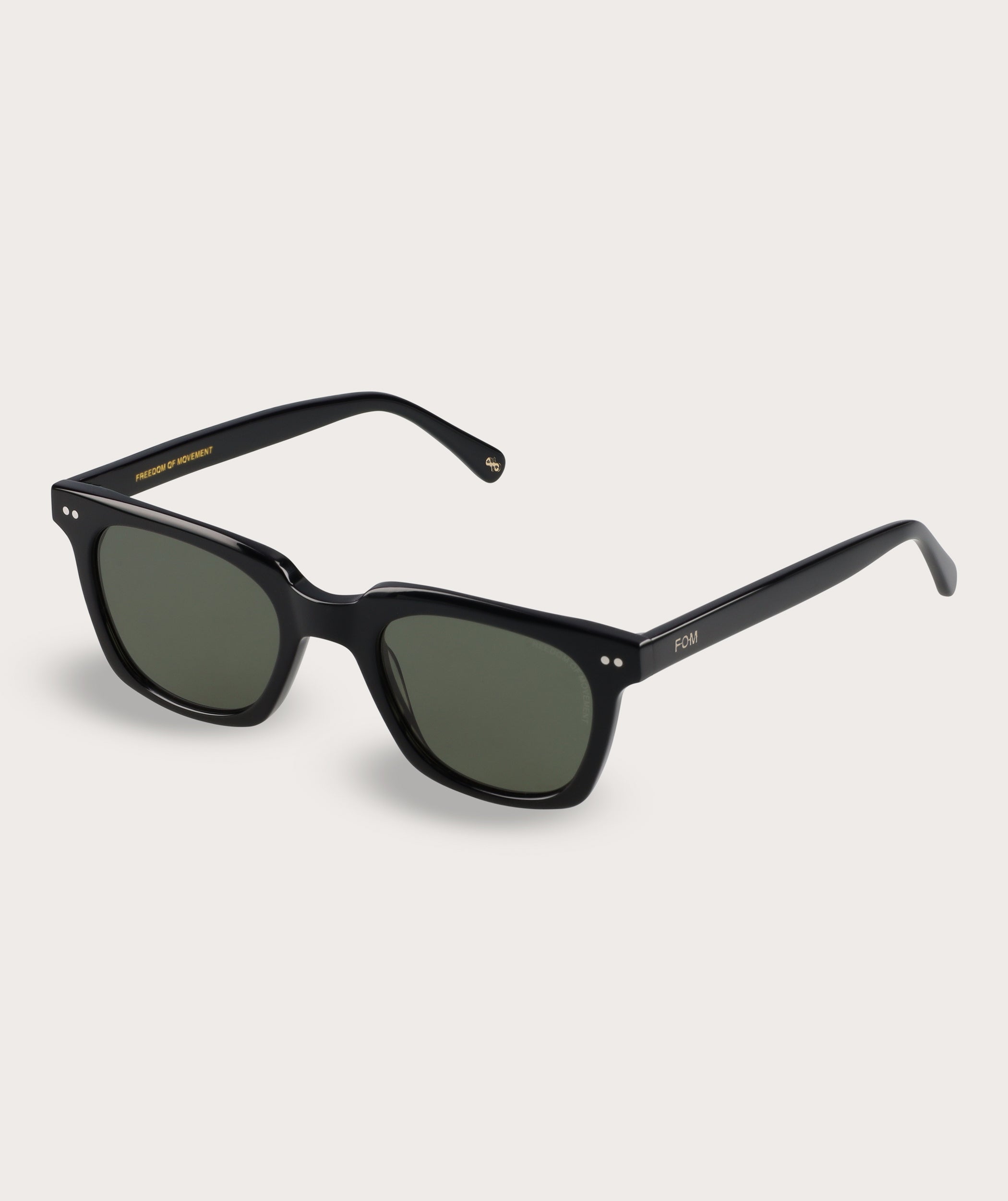 Jackson - Black (Polarized)