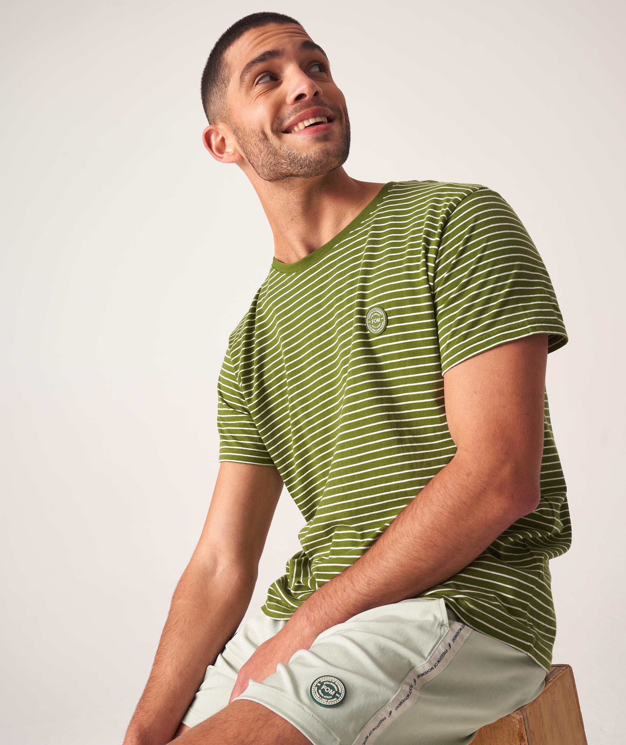 Mens Standard Cotton Stripe Tee -  Treetop Stripe