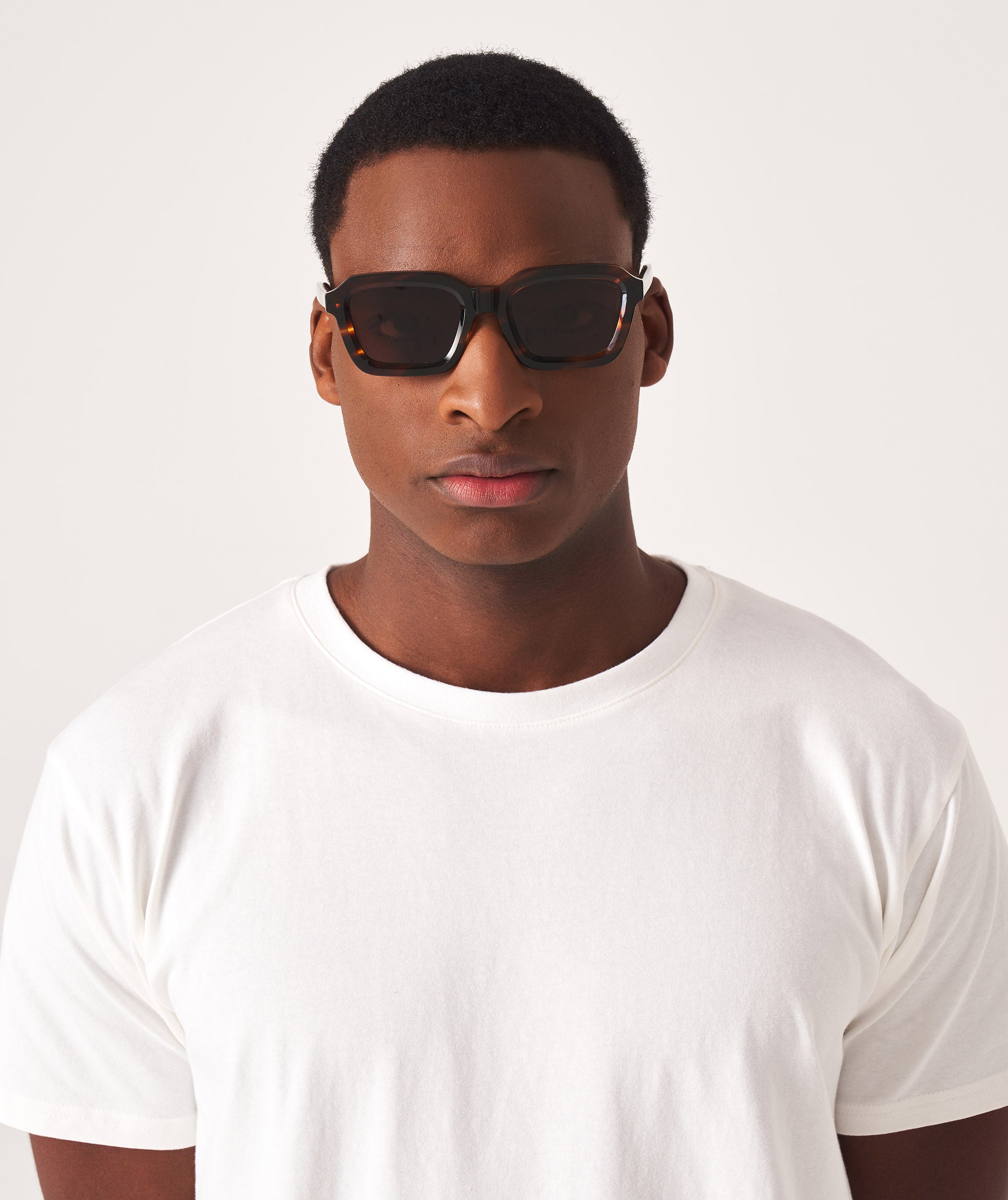 Alex - Tortoise (Polarized)