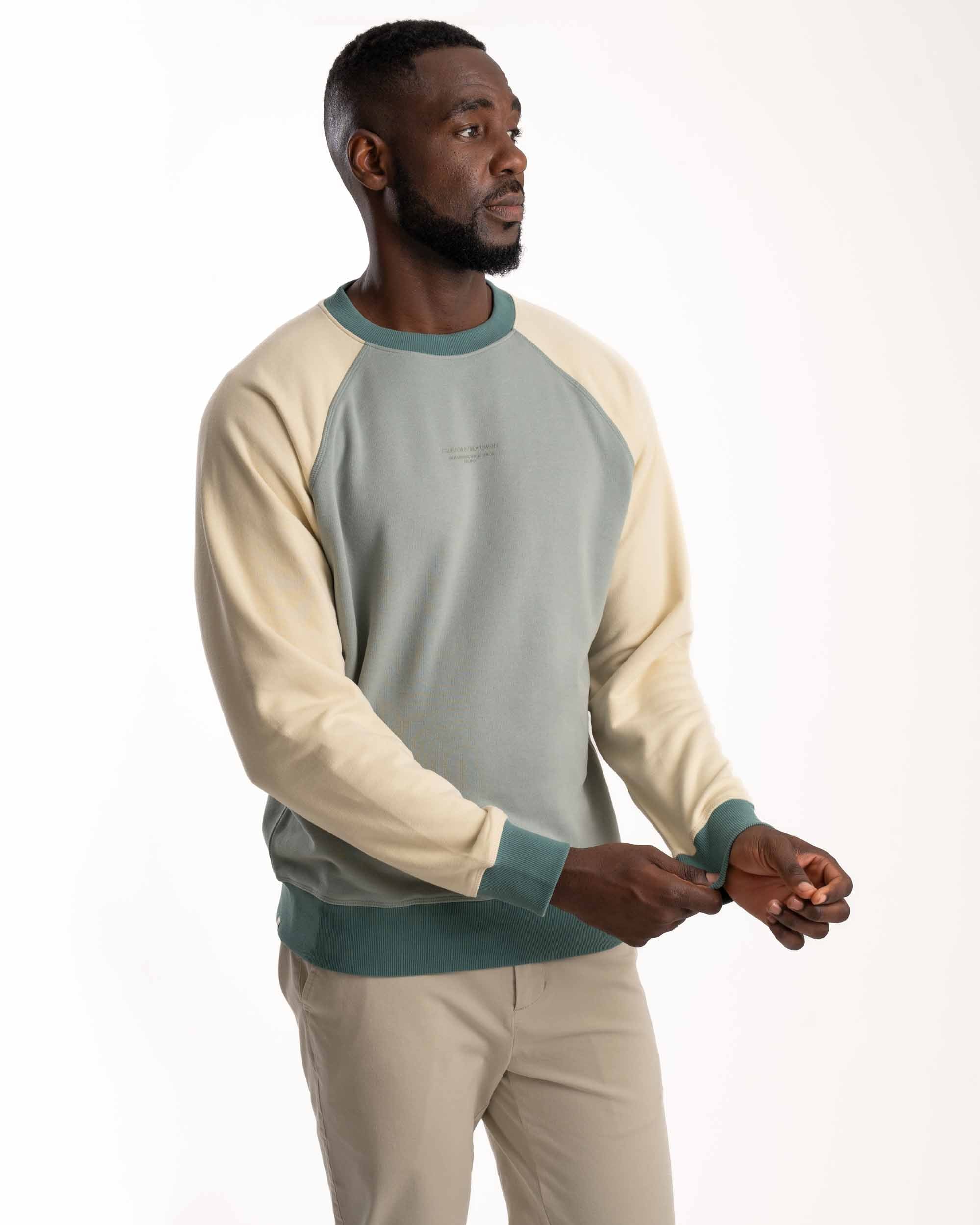 Mens Crew Neck Sweater - Blue Colour block