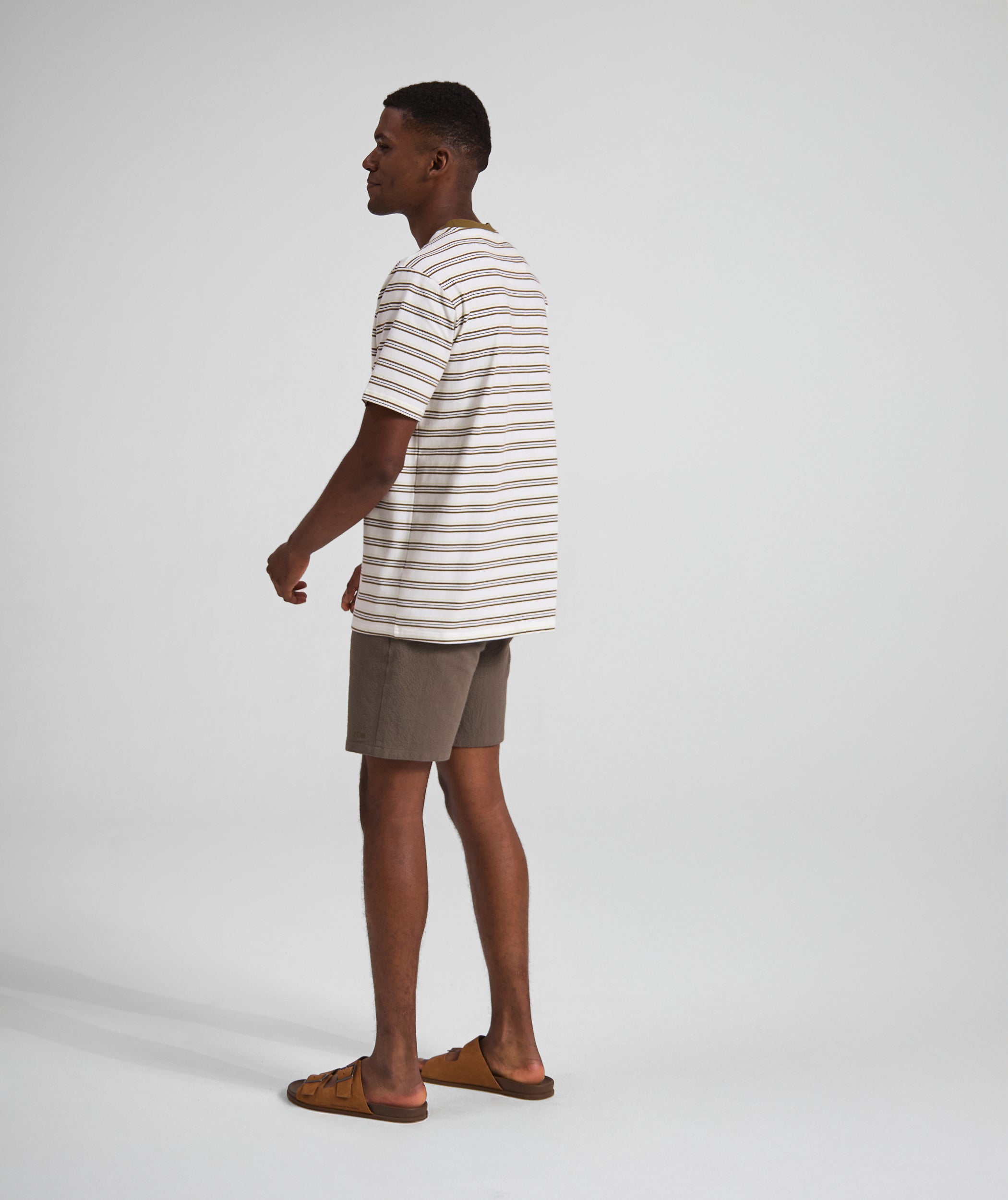 Mens Regular Fit Stripe Tee - x Ivory Multi