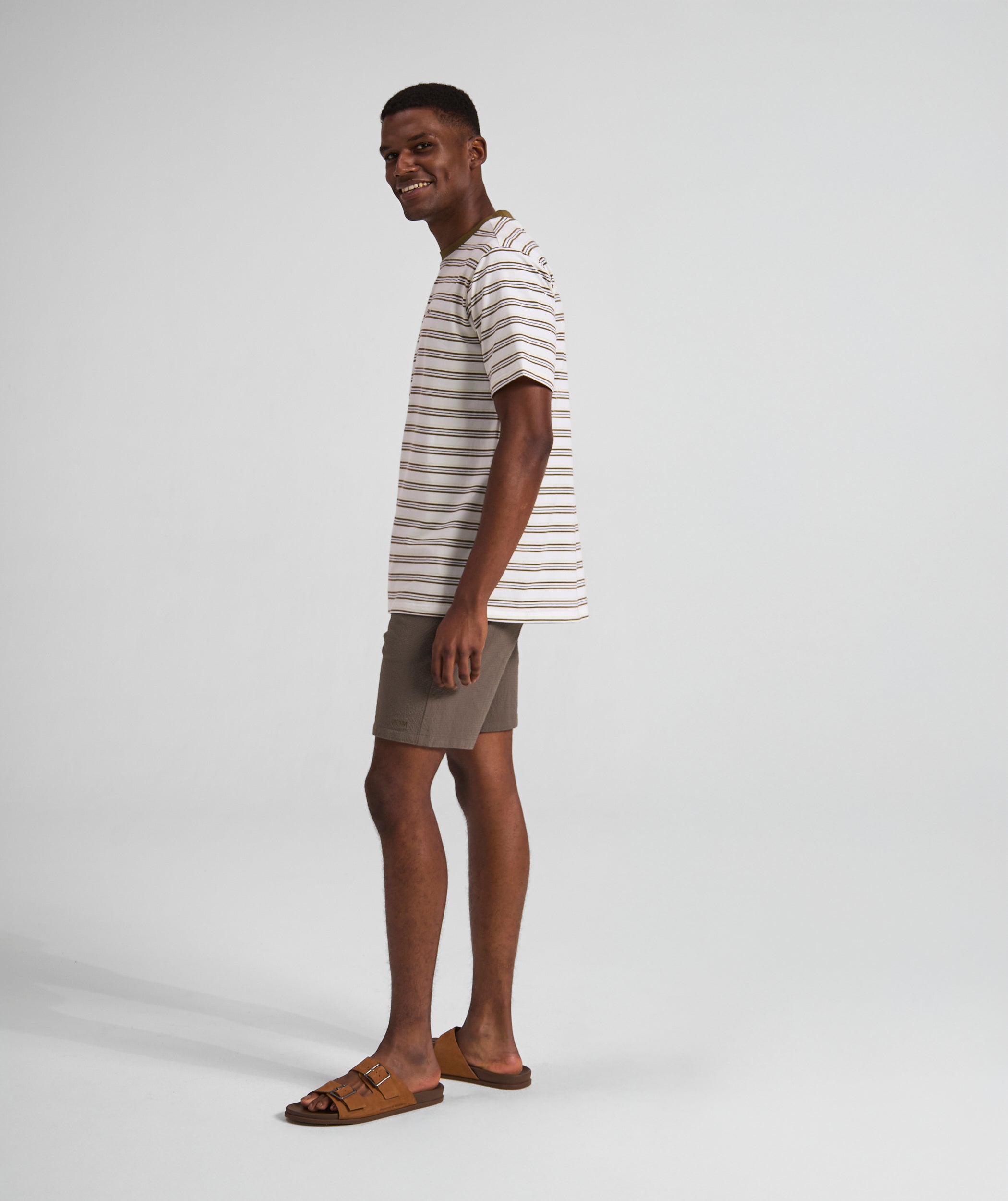 Mens Regular Fit Stripe Tee - x Ivory Multi