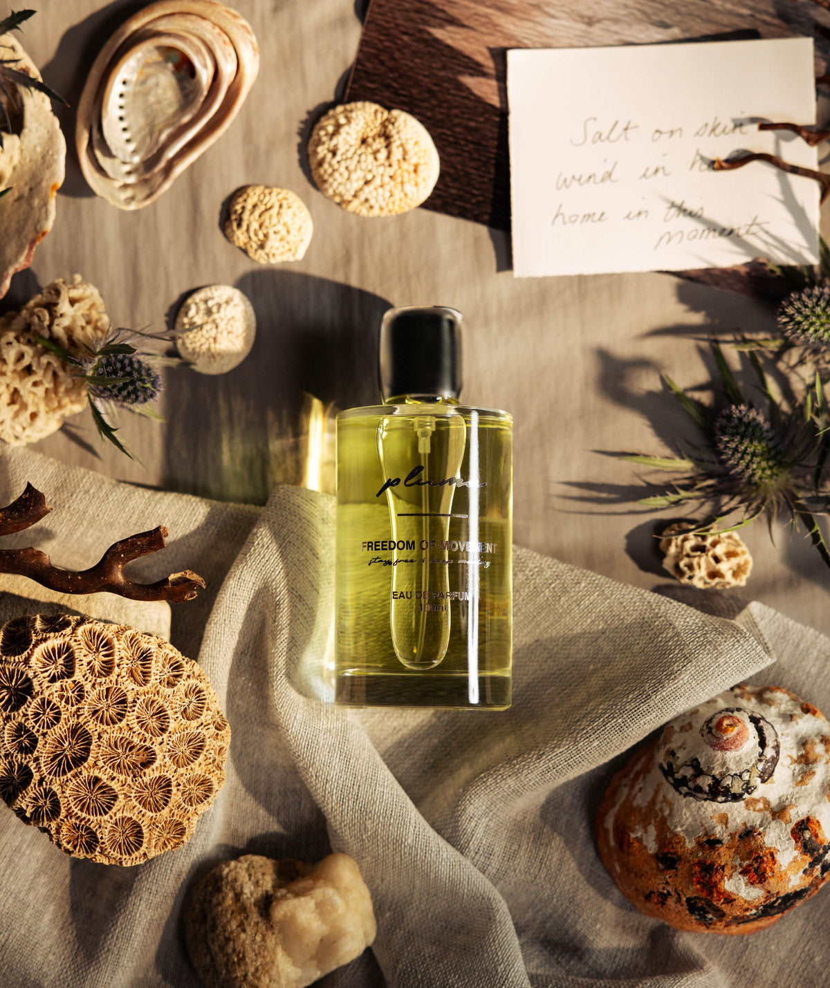 Ladies Fragrance - Pluma