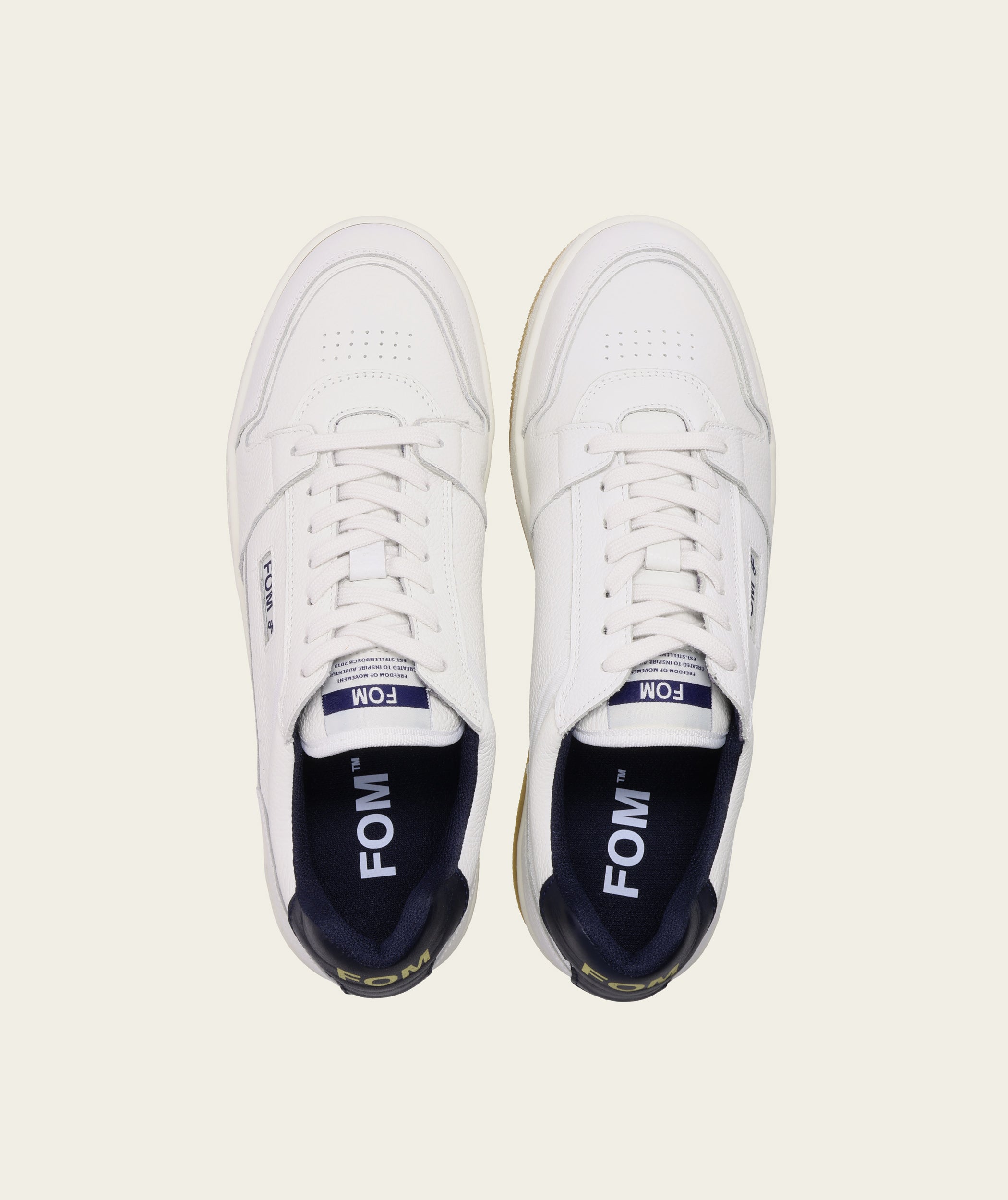 Mens Courts sneaker in Atlantic, top view