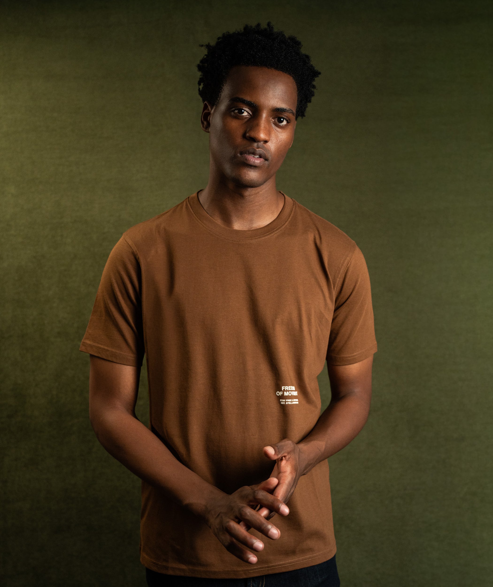 Mens Drakensberg Graphic Tee - Tobacco