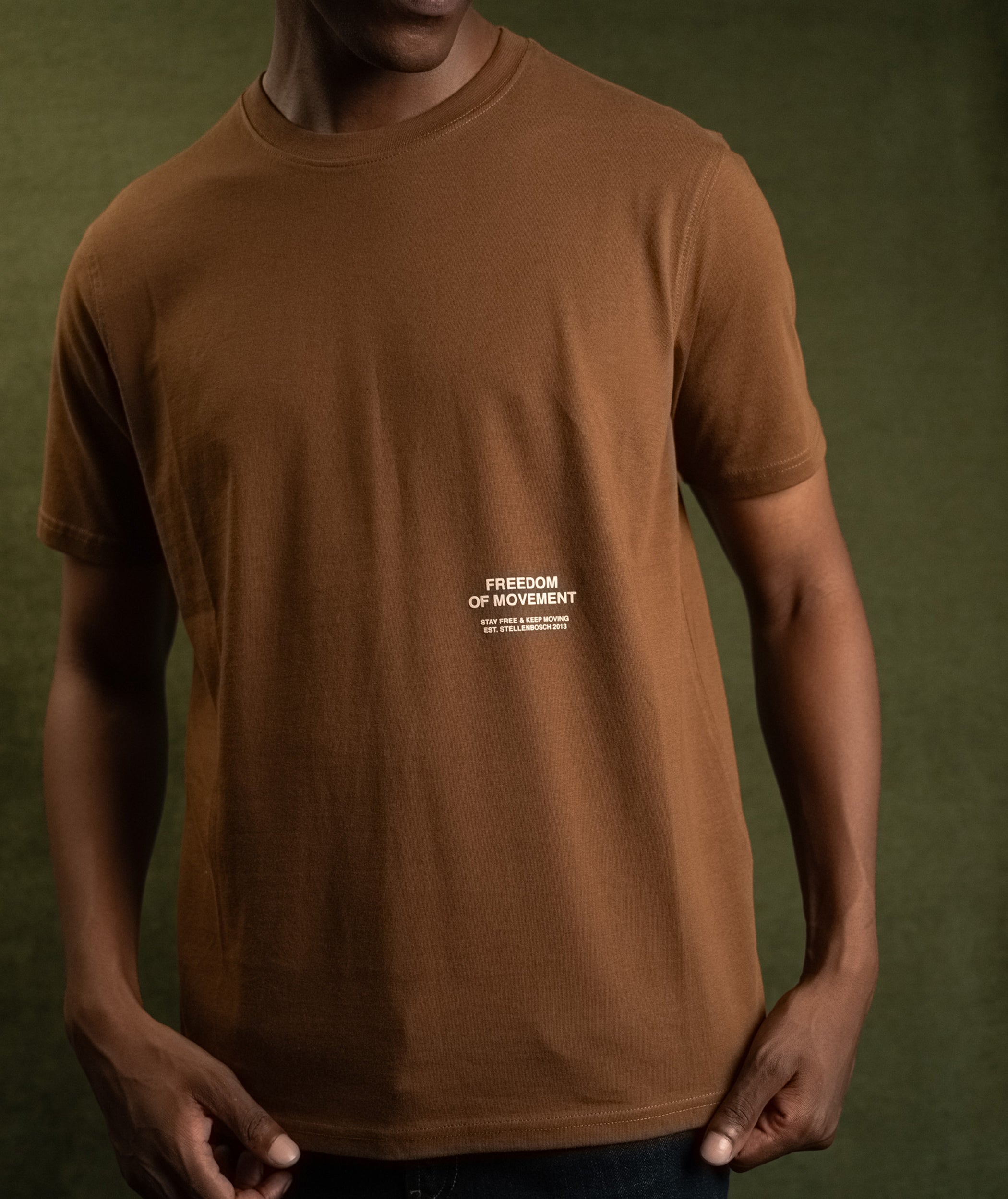 Mens Drakensberg Graphic Tee - Tobacco