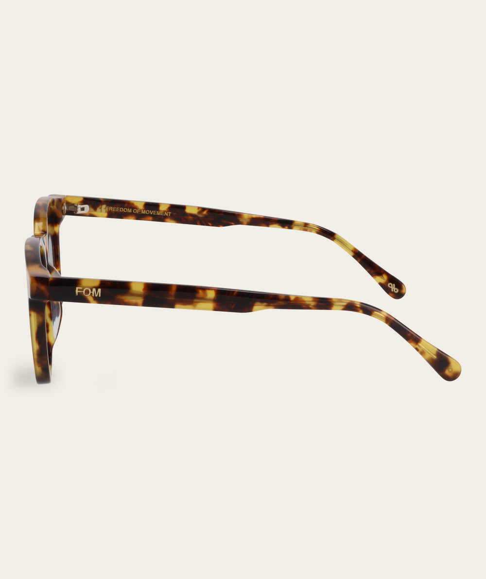 Stevie - Turtle (Polarized)