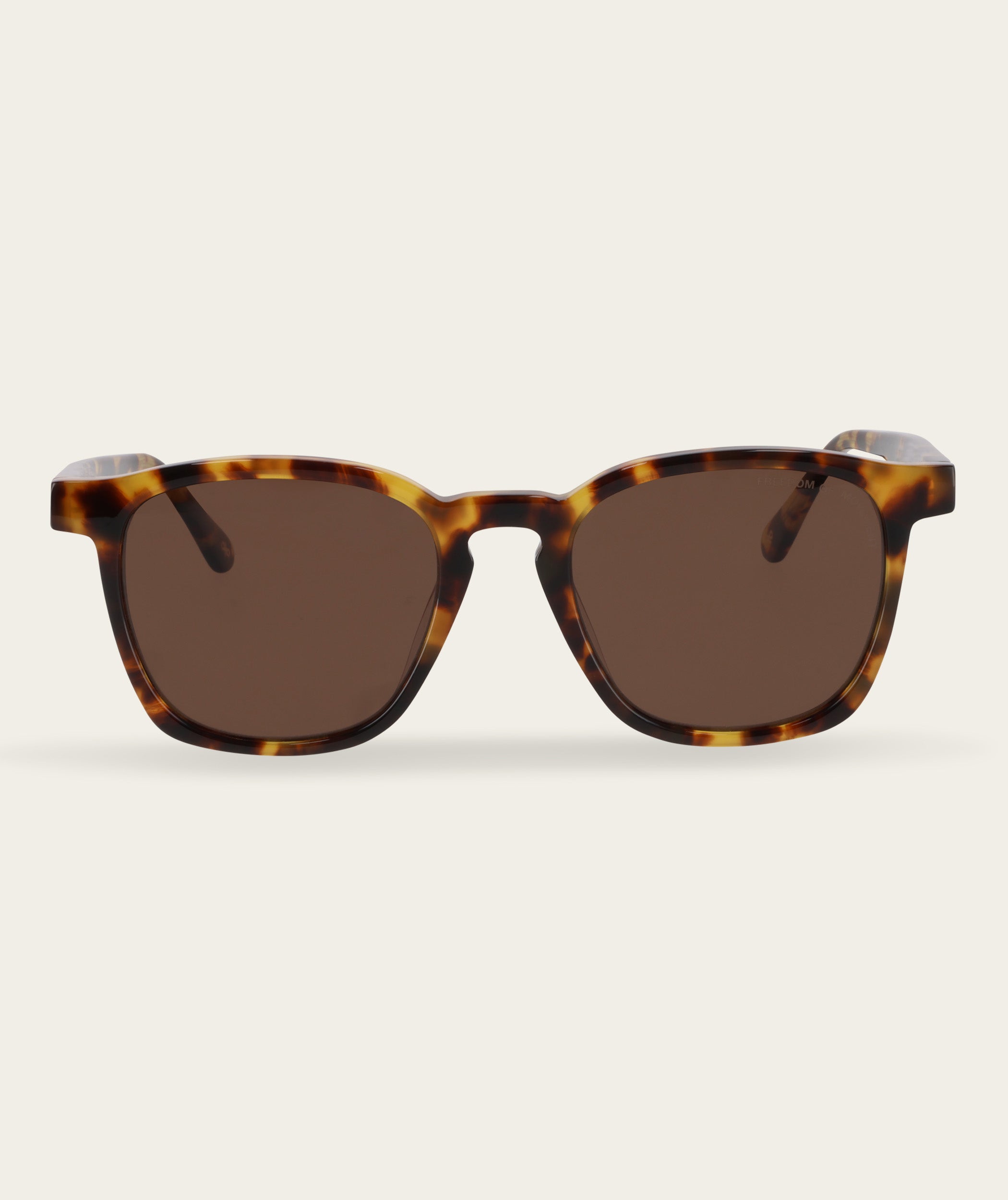 Stevie - Turtle (Polarized)