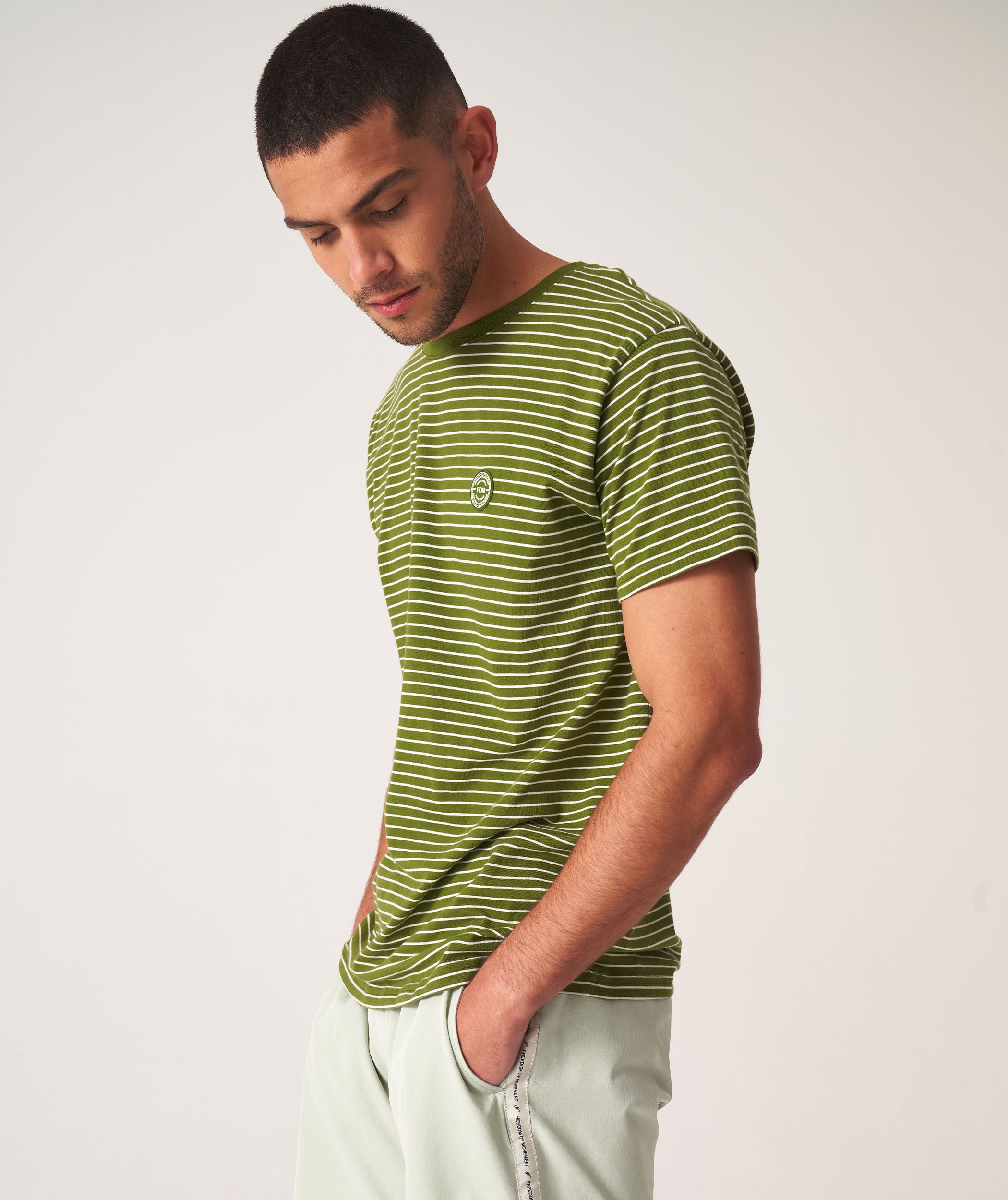 Mens Standard Cotton Stripe Tee -  Treetop Stripe