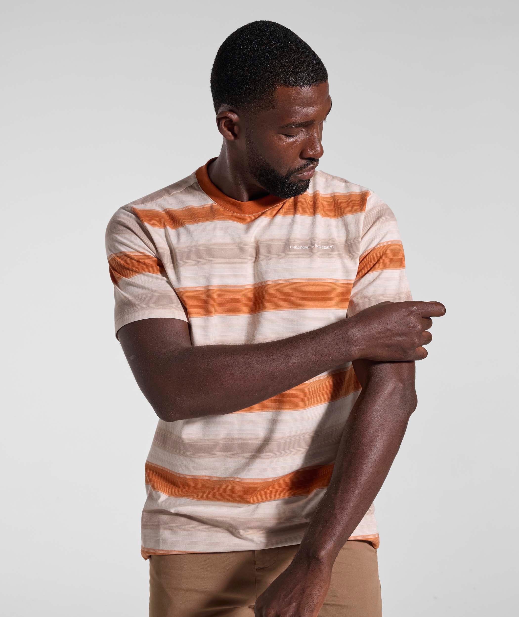 Mens Striped Regular Tee - Umber