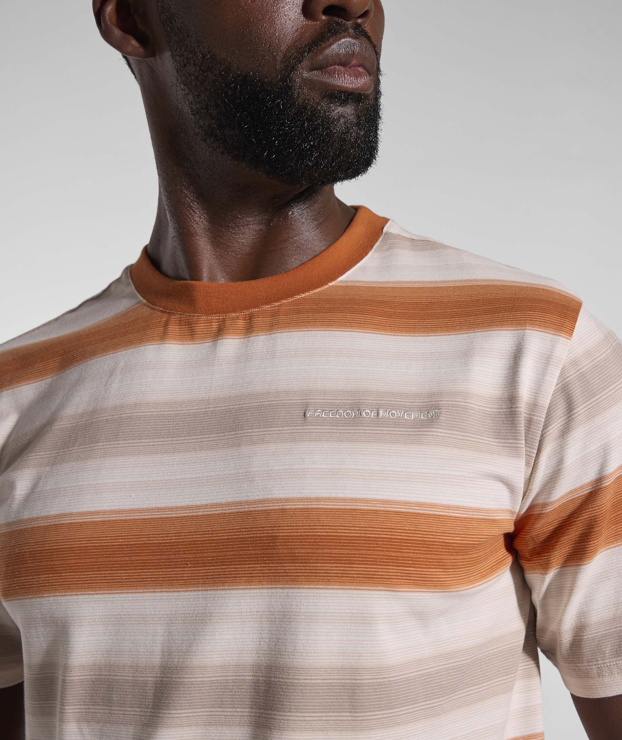 Mens Striped Regular Tee - Umber
