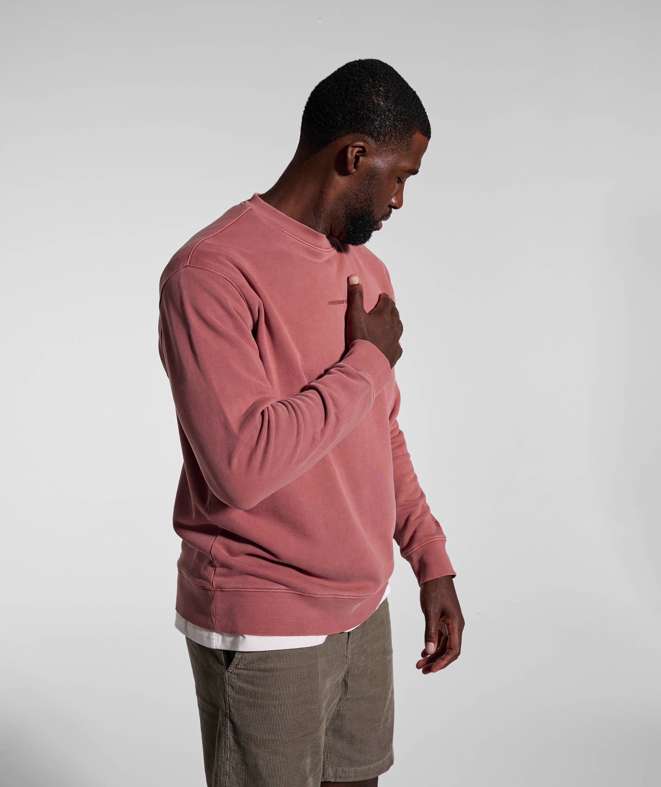 Mens Washed Crew Neck Sweater - Brick