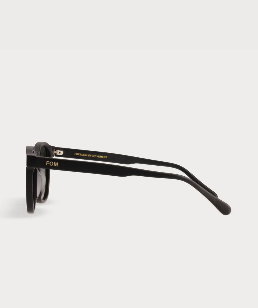 Stevie - Matte Black (Polarized)